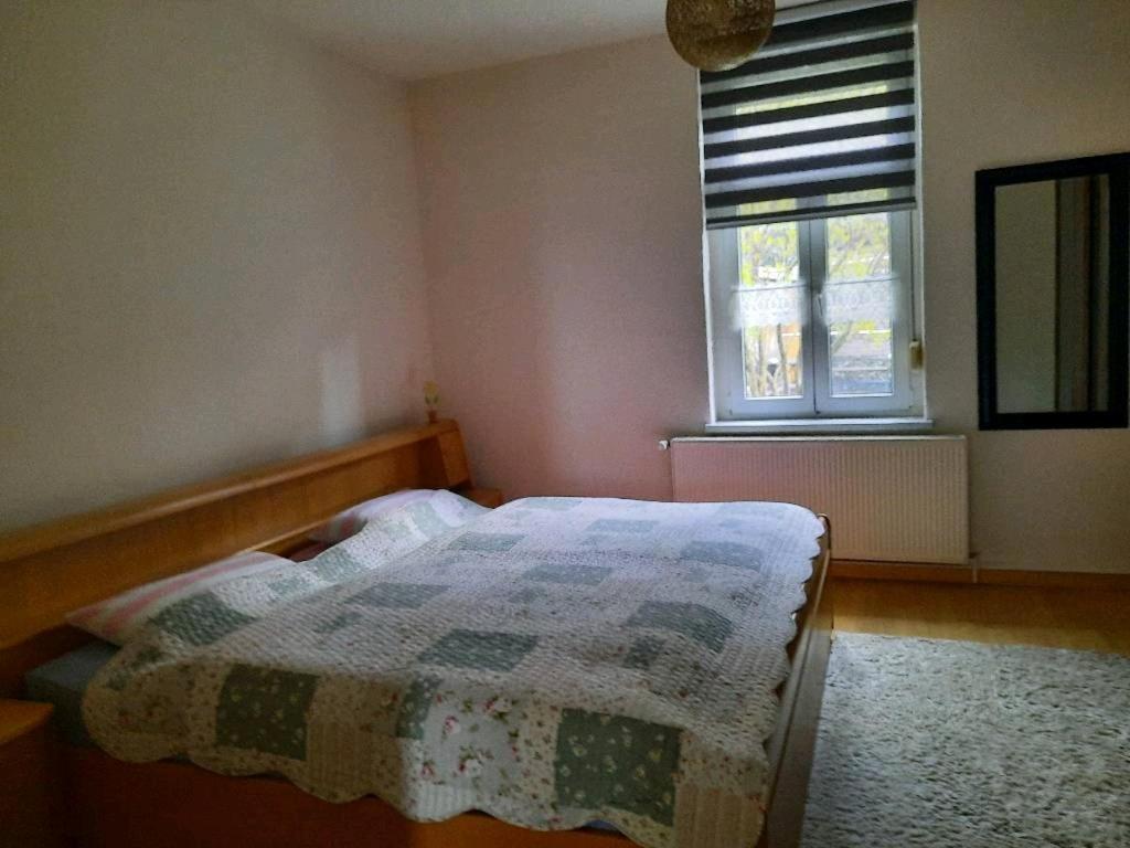 Ferienwohnung Emilia Gernrode  ภายนอก รูปภาพ